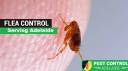 Flea Control Adelaide logo